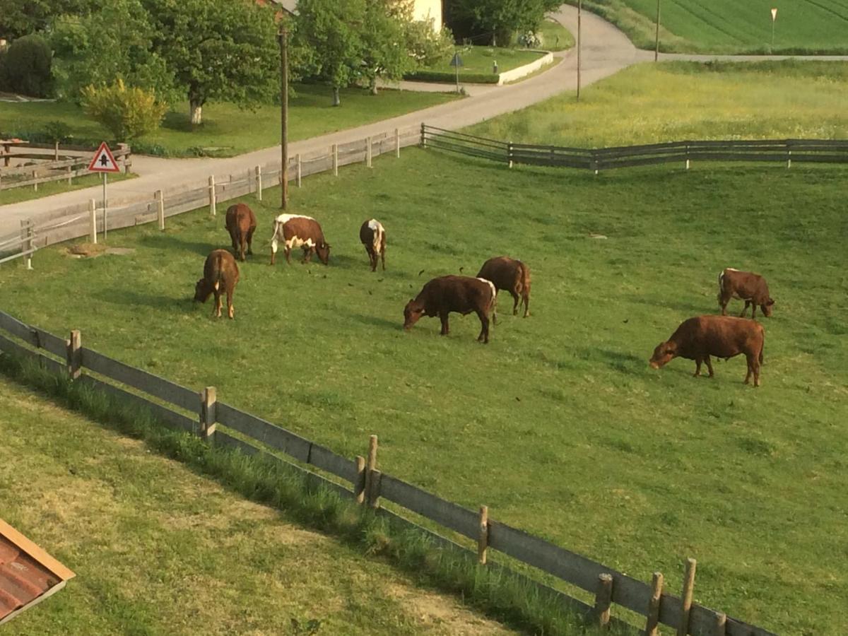 Haus Spiessl *