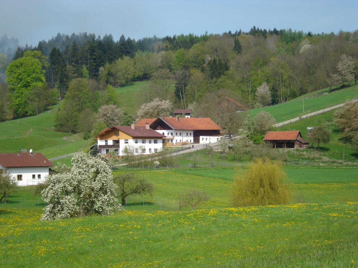 Haus Spiessl Apartment